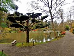 149 PARC ORIENTAL DE MAULEVIER MAINE ET LOIRE 2016 N2_000027